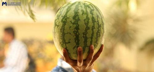 娱乐吃瓜为什么火